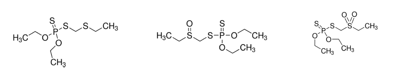 Phorate, phorate sulfoxide, phorate sulfone의 화학 구조