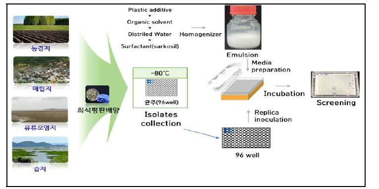 High-throughput screening으로 플라스틱 첨가제 분해 미생물 탐색 모식화