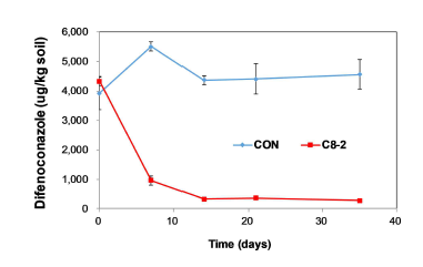 C8-2 균주 처리에 따른 토양 잔류 디페노코나졸 농도 변화