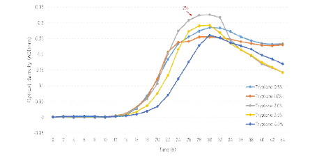 Tryptone 농도에 따른 P. tritici PH55-1 균주의 생장.