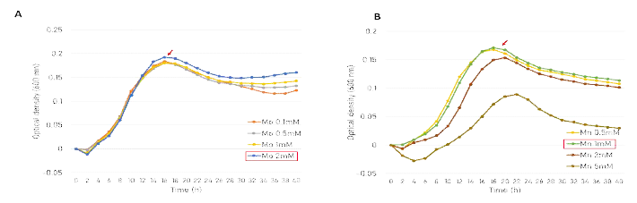 미량원소 농도별 P. tritici PH55-1 균주의 생장. (A) Mo (0.1 mM, 0.5, 1, 2) (B) Mn (0.5 mM, 1, 2, 5)