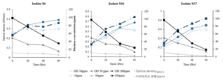 최소액체배지에서 접종 농도별 S6, S36 및 S37 균주의 생장 및 다이아지논 분해.