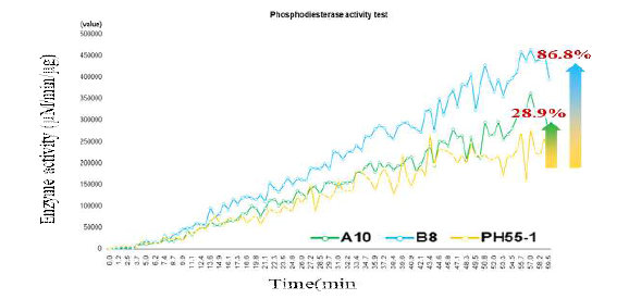 분리 균주 A10, B8 균주와 P. tritici PH55-1 균주의 Phosphodiesterase 효소 활성.