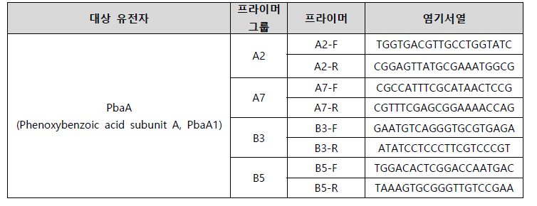 C8-2 균주 검출을 위한 ddPCR 용 프라이머