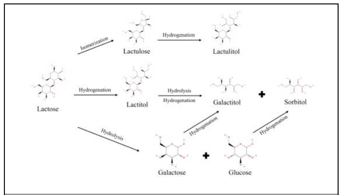 Overview on the production of lactose-derived sugar alcohols 출처: Zhang, W., Chen, J., Chen, Q. et al. Sugar alcohols derived from lactose: lactitol, galactitol, and sorbitol. Appl Microbiol Biotechnol 104, 9487–9495 (2020)