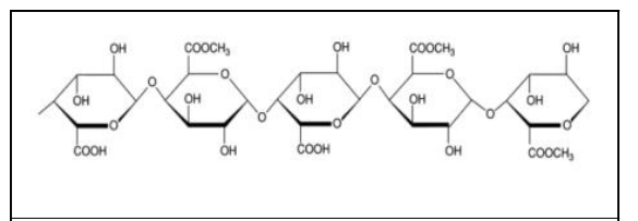 펙틴의 기본 구조 출처: L. Flutto, PECTIN | Properties and Determination, Editor(s): Benjamin Caballero, Encyclopedia of Food Sciences and Nutrition (Second Edition), Academic Press, 2003, Pages 4440-4449