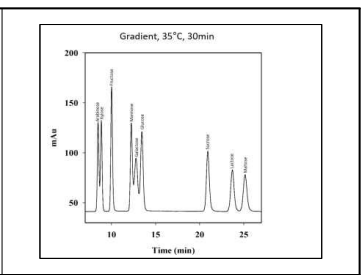 HPLC-ELSD 시스템을 이용한 최종 분석조건에서의 크로마토그램 결과