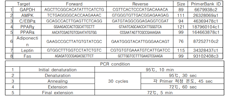 Real-time PCR의 primer sequence 및 PCR condition