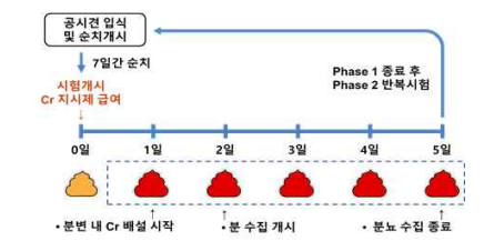 소화율 평가 모식도