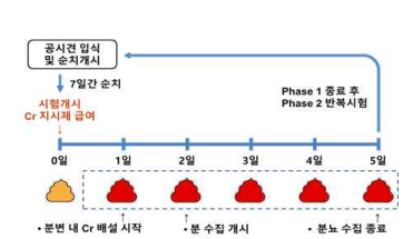 소화율 평가 모식도