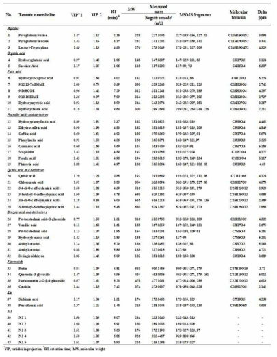 발효 전후 차이나는 대사체 UHPLC_LTQ-Orbitrap-MS/MS