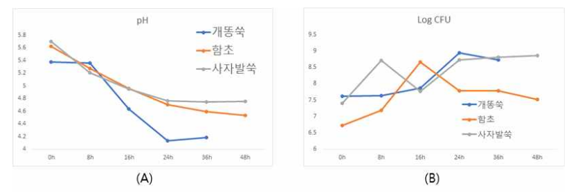 개똥쑥, 함초, 사자발쑥의 고체 발효 pH (A), 생균수 (B) 변화