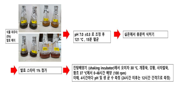 최적 발효 시간 결정의 실험 모식도