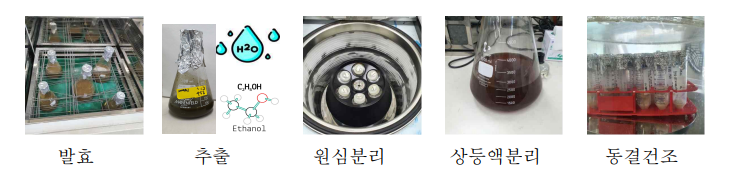 분리한 발효물 상등액 동결건조 순서