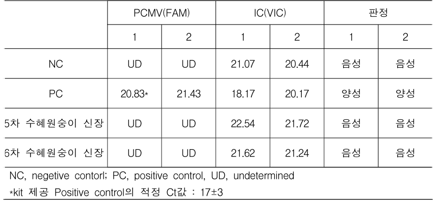 돼지 신장을 이식받은 수혜 원숭이의 원숭이 신장에서 PCMV 비 감염 확인