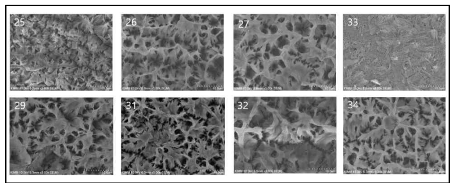 양극산화알루미늄(AAO)의 Pore widening 가공시간에 따른 표면 SEM 사진