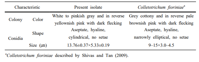 키위 과피흑색반점에서 분리된 병원균 Colletotrichum fioriniae의 균학적 동정