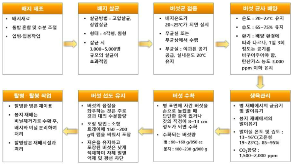 느타리버섯의 생산과정(병재배)