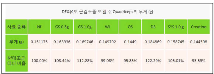 홍잠섭취 DEX-유도 근감소증 모델에서의 근육 무게 증대 확인