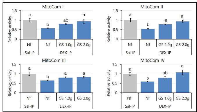 홍잠 섭취와 비섭취 DEX유도 근감소증 모델 동물의 근육에서의 Mitochondria complex I ~ IV의 활성 비교