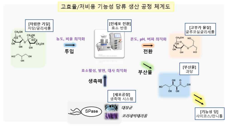 기능성 당류 생산 공정 체계도