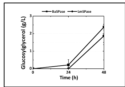 SPase 도입 대장균을 이용한 글루코실글리세롤 생산성 확인