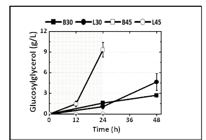 BaSPase 및 LmSPase 도입 전세포 전환반응을 이용한 글루코실글리세롤 생산성 확인