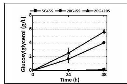 기질 농도에 따른 글루코실글리세롤 생산성 비교