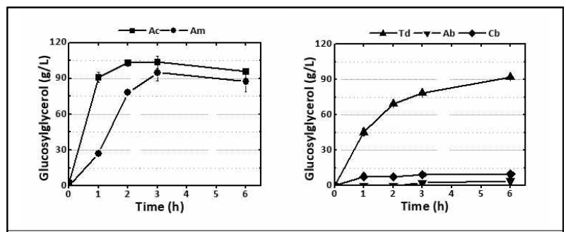 AcSPase 및 TdSPase를 기준으로 선별한 신규 SPase의 글루코실글리세롤 생산성 교