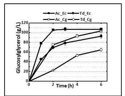 대장균 및 코리네박테리움에서의 글루코실글리세롤 생산성 비교