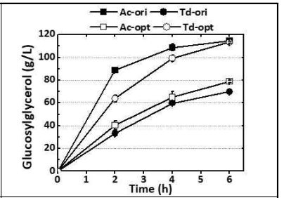 코돈최적화지수(CAI)에 따른 글루코실글리세롤 생산성