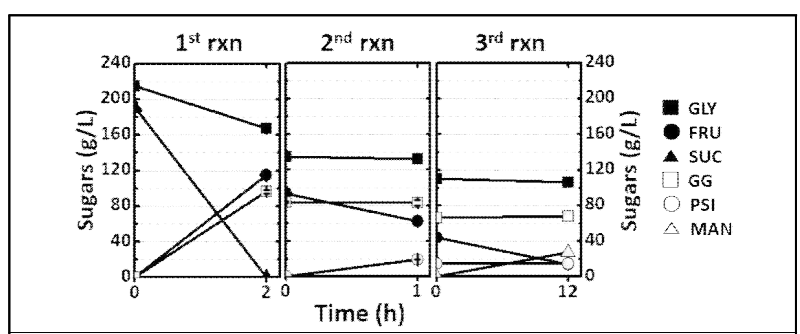 순차적 기능성 당류 생산의 당 농도 비교