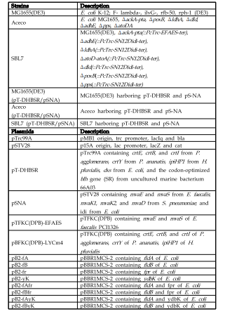 실험에 사용된 균주 및 플라스미드