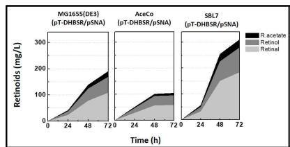 유전체 조작 대장균 균주의 레티노이드 생산성 비교