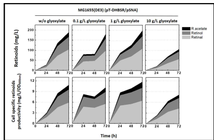 MG1655(DE3) 기반 레티노이드 생산 균주에 glyoxylate 첨가에 따른 레티노이드 생산성 비교