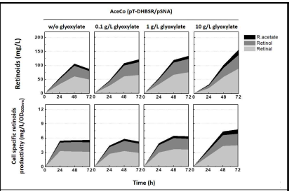 Aceco 기반 레티노이드 생산 균주에 glyoxylate 첨가에 따른 레티노이드 생산성 비교