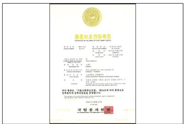 Certificate on the grant of plant variety rights of ‘KOMAC5’