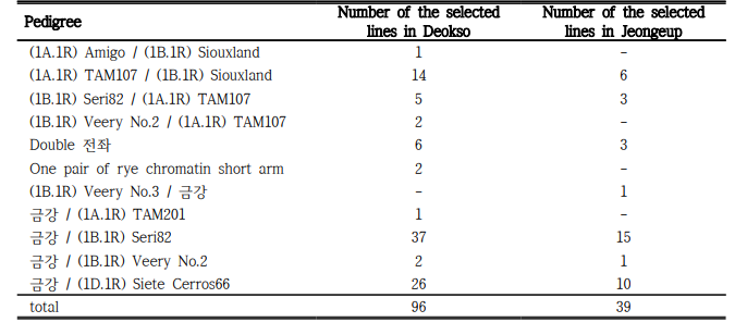 The number of the selected wheat-rye translocation lines in Deokso and Jeongeup during ‘20-’21