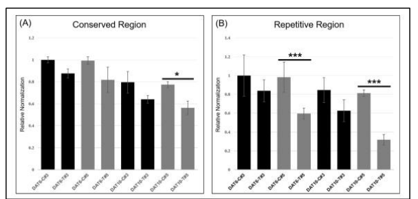 qRT-PCR of spikelets taken from different locations along the spike (position #3 or 5), targeting the conserved (A) or repetitive (B) region of TaHMW1D. * p < 0.05; *** p < 0.001