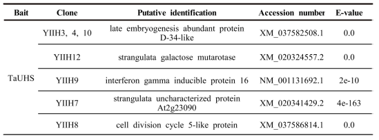 A list of proteins that potentially interact with TaUSD proteins