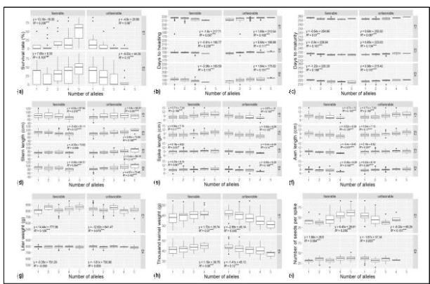 The effect of alleles on the agronomic traits in different environments. The numbers on the X-axes indicate the number of the favorable or unfavorable alleles, while the Y-axes represents the phenotypic data distribution of the genotypes possessing each number of alleles. The bottom, middle and top lines in each boxplot represent 25%, 50% and 75% of the phenotypic data, respectively. The equation of regression line between each phenotypic data and the number of alleles, and the adjusted R-square values are represented (***: p < 0.001, **: p < 0.01, *: p < 0.05)