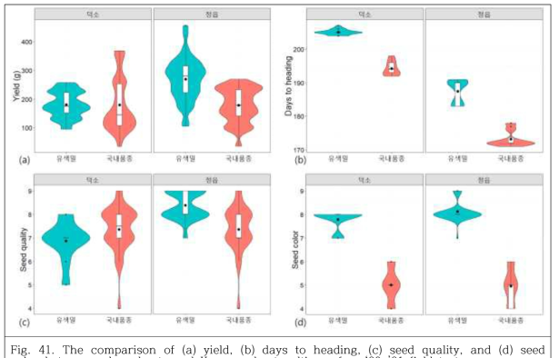 The comparison of (a) yield, (b) days to heading, (c) seed quality, and (d) seed color between color wheats and Korean wheat cultivars from‘20-’21 field test