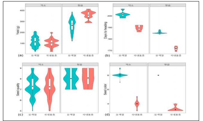 The comparison of (a) yield, (b) days to heading, (c) seed quality, and (d) seed color between color wheats and Korean wheat cultivars from‘21-’22 field test