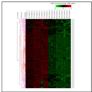 Heatmap based on log2CPM values of 278 up-regulated genes in CW