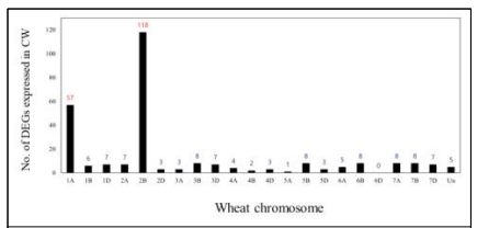 Chromosome locations of 278 up-regulated genes in CW