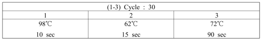 PCR 조건