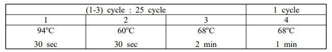 Error prone PCR-condition