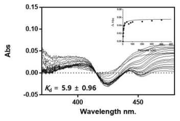 Spectral binding titration of CYP102A3 with phloretin. CYP102A3 (1 µM) was titrated as a function of phloretin concentration as described in Experimental section. With increasing concentrations of phloretin, spectra were changed. The inset shows a plot of induced Soret absorbance change (ΔA390nm-ΔA420nm) versus the relevant concentration of phloretin for M10. A dissociation constant (Kd) for the ligand binding to CYP102A3 and a maximal change of absorption (Bmax) were 5.9 ± 0.96 μM and 0.056 ± 0.002 respectively