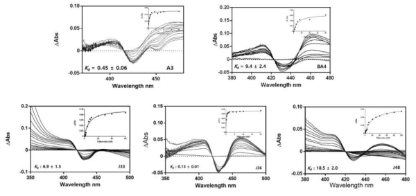 titration of CYP102A3 mutants to phloretin