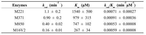 Steady-state kinetics of the formation of 3-OH phlorizin from phlorizin using CYP102A1 mutants